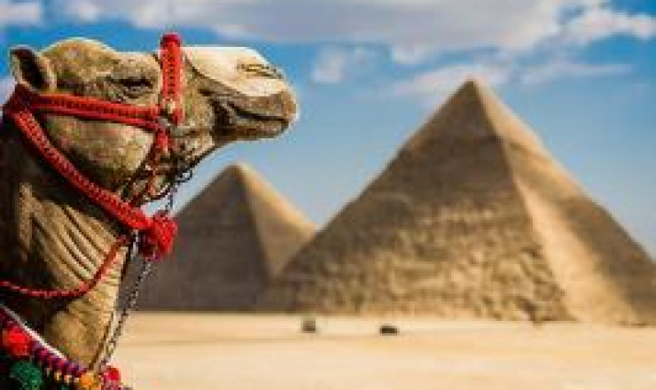 Cairo & Pyramids by bus from Sharm el Sheikh One Day