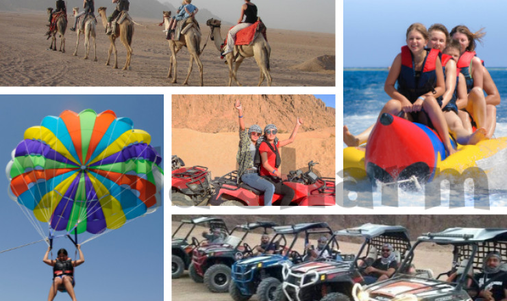 Mega-Safari-Tagestour durch Wüste und Rotes Meer