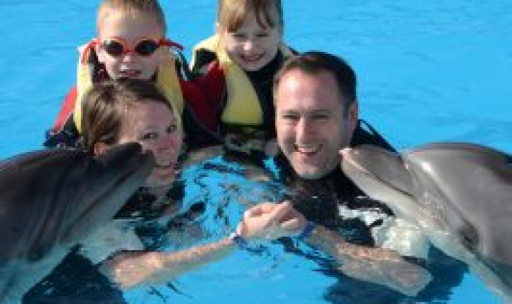 Nuotare con i Delfini a Sharm El Sheikh.
