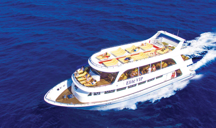 Escursione a White Island e Ras Mohamed con Elite Vip Cruise con pranzo