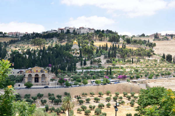 TAGESAUSFLUG NACH JERUSALEM UND TOTES MEER AB SHARM EL SHEIKH