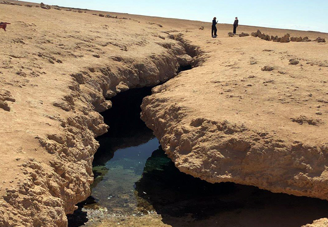 Il Parco Nazionale di Ras Mohammad via terra – Mezza giornata