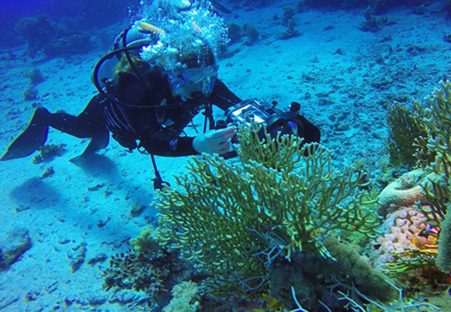PADI Scuba Diver Course in Sharm El Sheikh