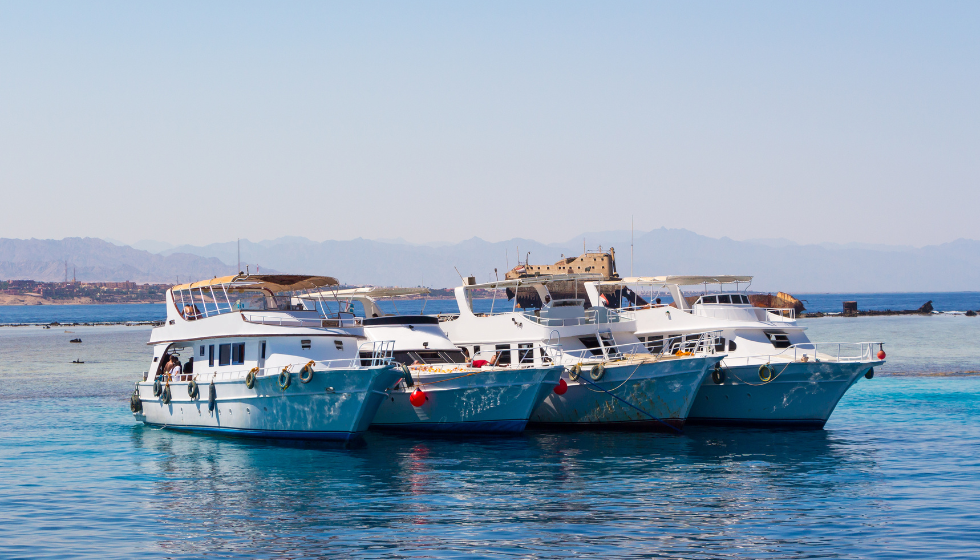 Escursione in Barca all’Isola di Tiran a Sharm El Sheikh