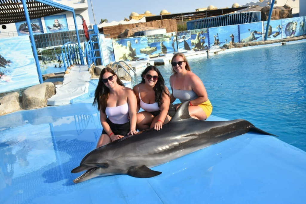 Dolphina in Sahel Unique Shows in El Alamein & North Egypt