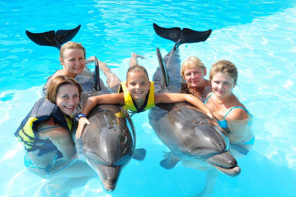 Dolphina in Sahel Unique Shows in El Alamein & North Egypt