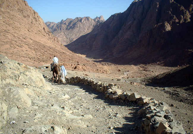 MOSES MOUNTAIN "MOUNT SINAI" & ST.CATHERINE NIGHT TRIP