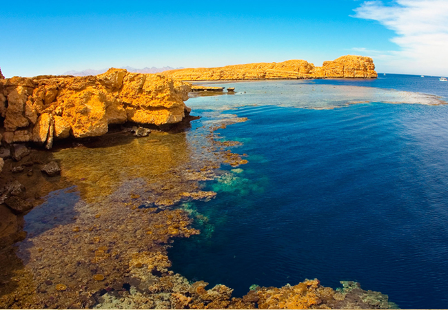 Il Parco Nazionale di Ras Mohammad via terra – Mezza giornata