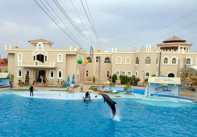 LO SPETTACOLO DEI DELFINI A SHARM EL SHEIKH