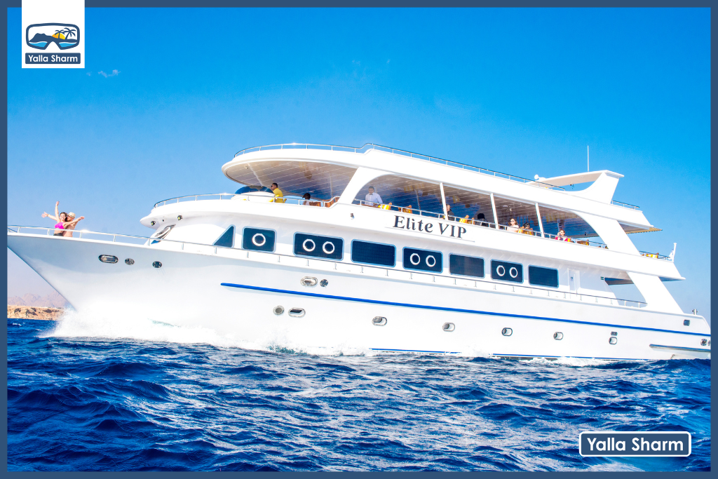 Trip To White Island And Ras Mohammed By Elite Vip Cruise With lunch