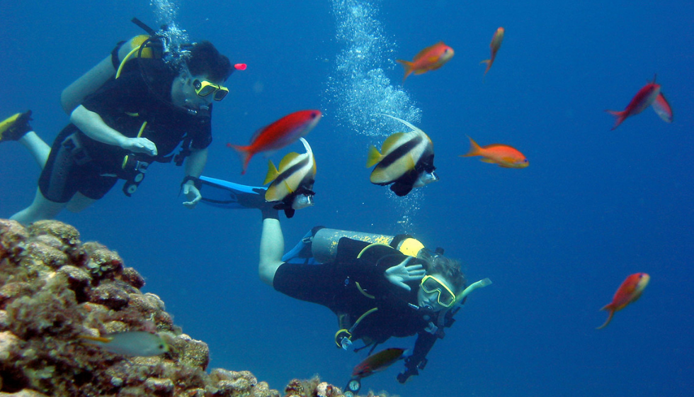 Escursione in Barca all’Isola di Tiran a Sharm El Sheikh