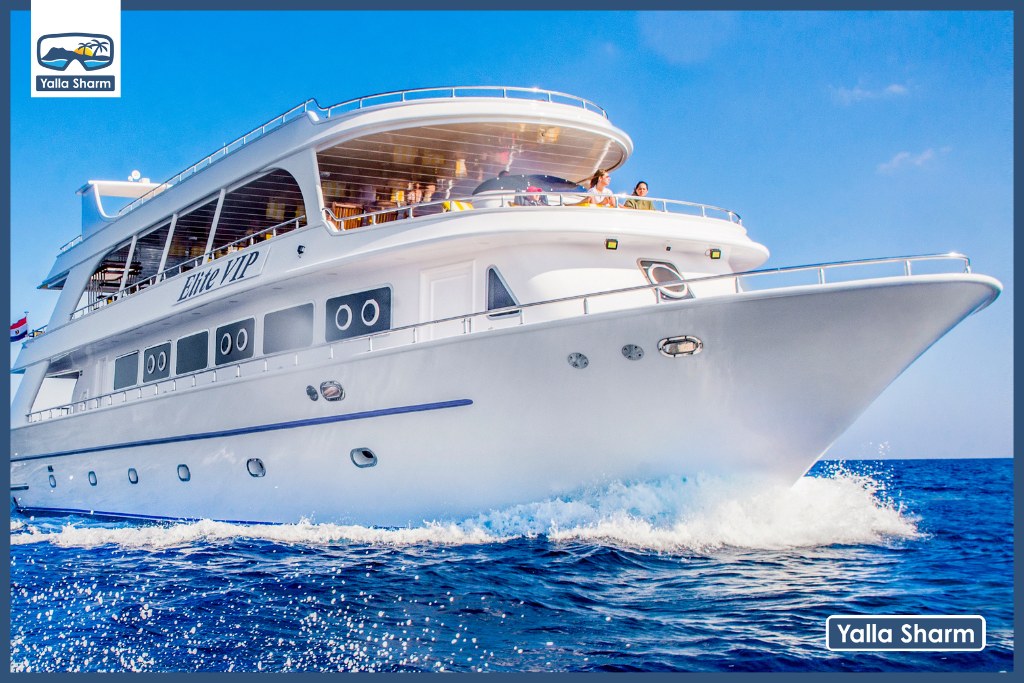 Trip To White Island And Ras Mohammed By Elite Vip Cruise With lunch