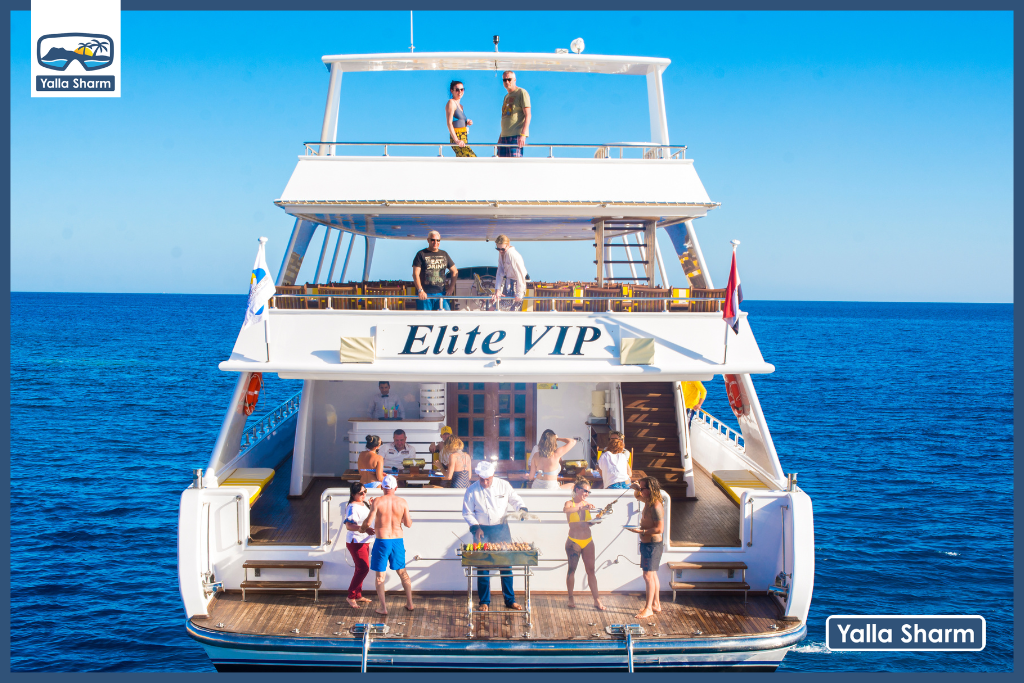 Trip To White Island And Ras Mohammed By Elite Vip Cruise With lunch