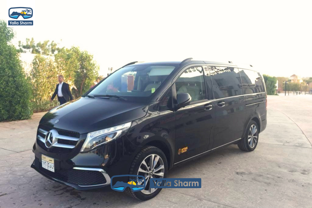 Mercedes Viano 2023
